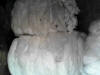 petshortfibertextile8_small