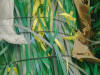 pet strapping_small